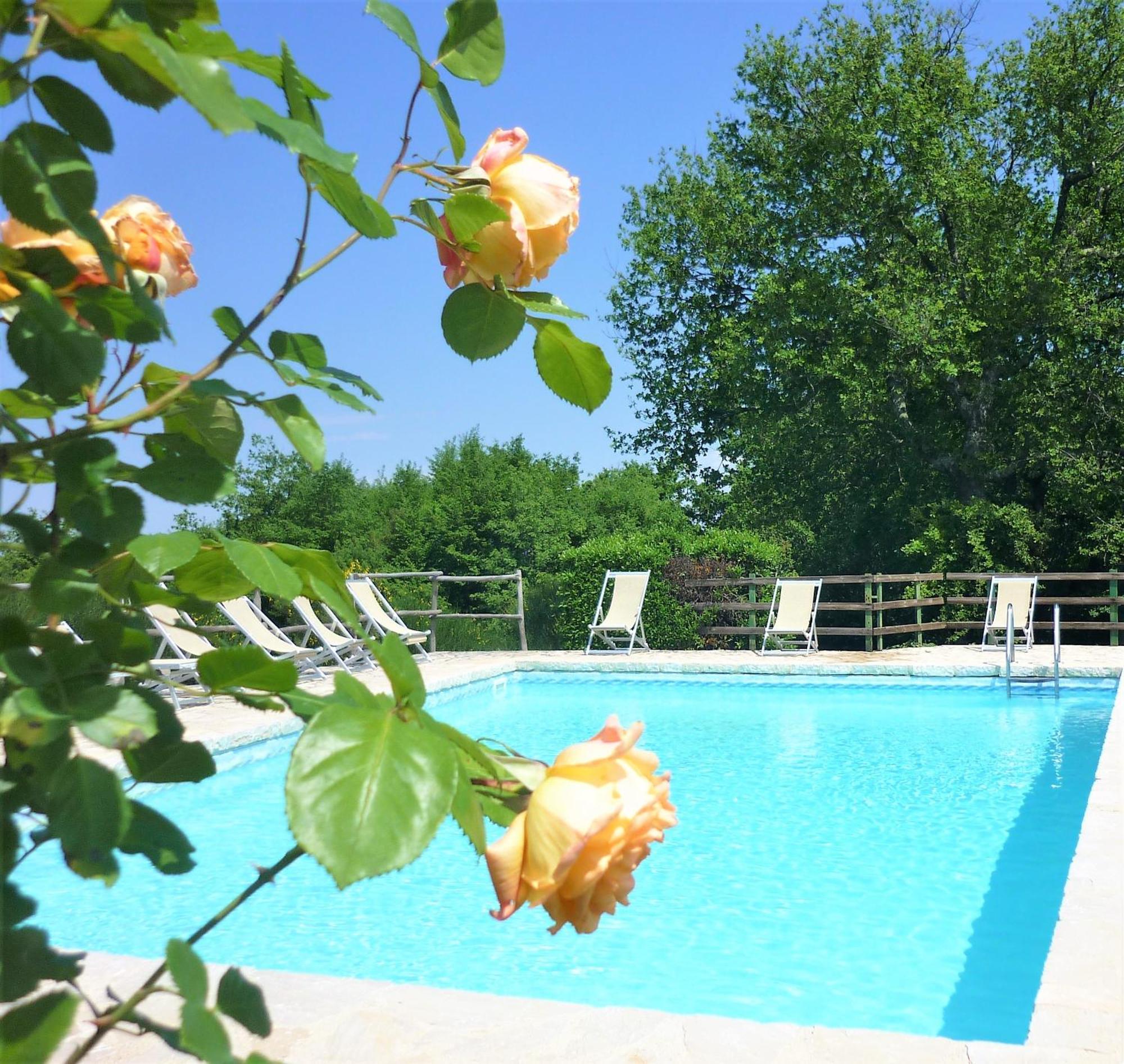 Fattoria Agriturismo Nerbona Villa Casole dʼElsa Eksteriør billede