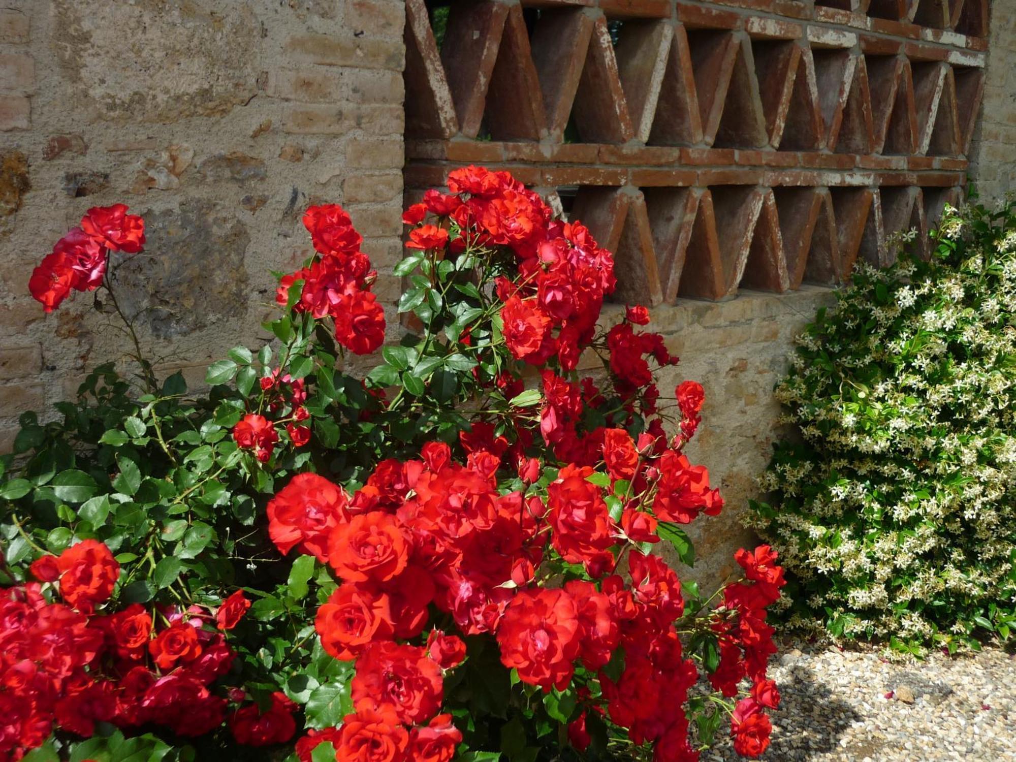 Fattoria Agriturismo Nerbona Villa Casole dʼElsa Eksteriør billede