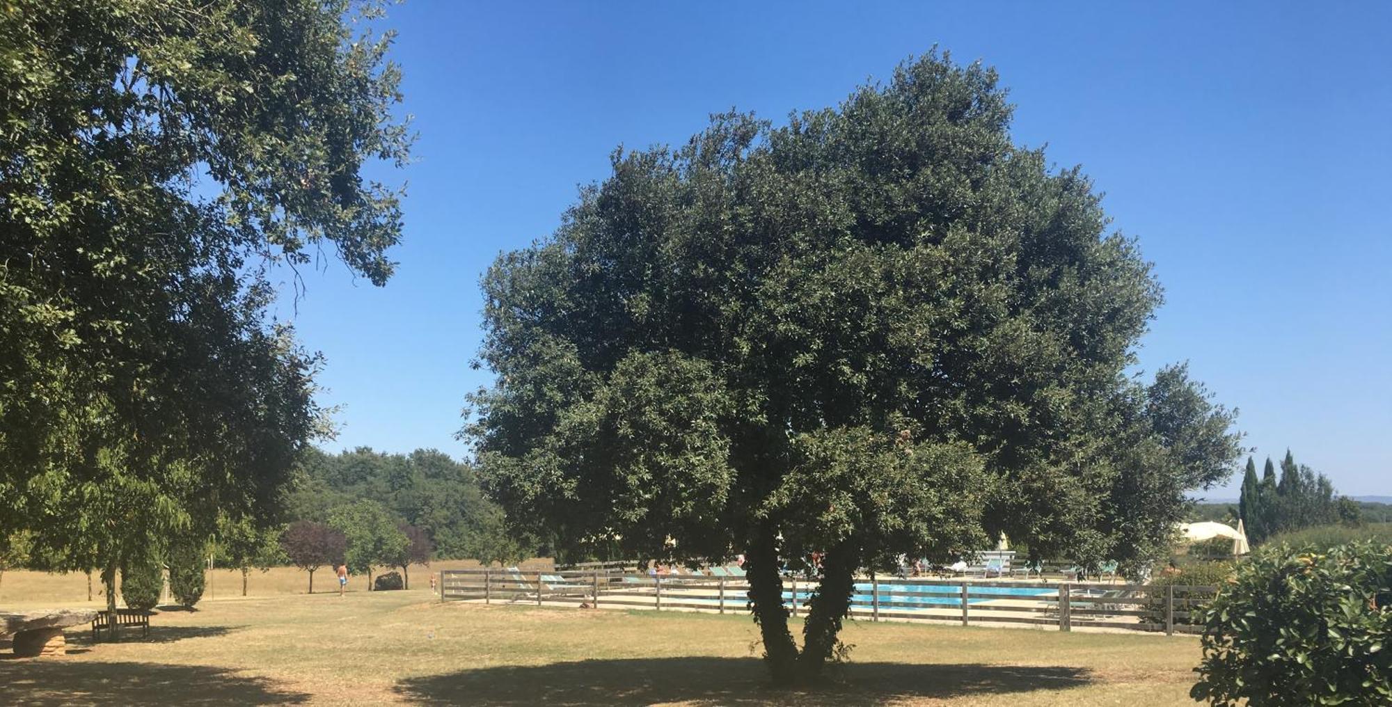 Fattoria Agriturismo Nerbona Villa Casole dʼElsa Eksteriør billede