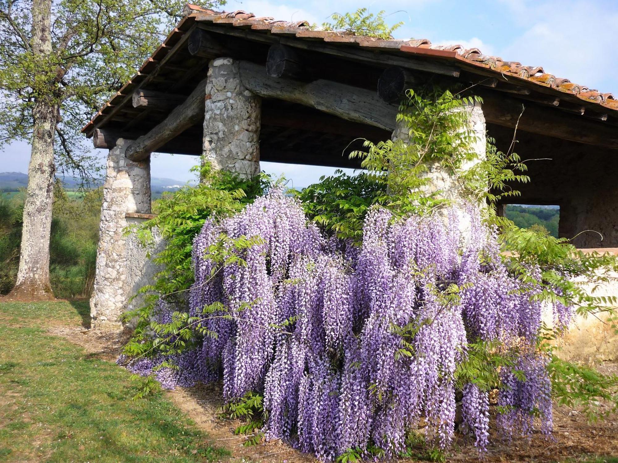 Fattoria Agriturismo Nerbona Villa Casole dʼElsa Eksteriør billede